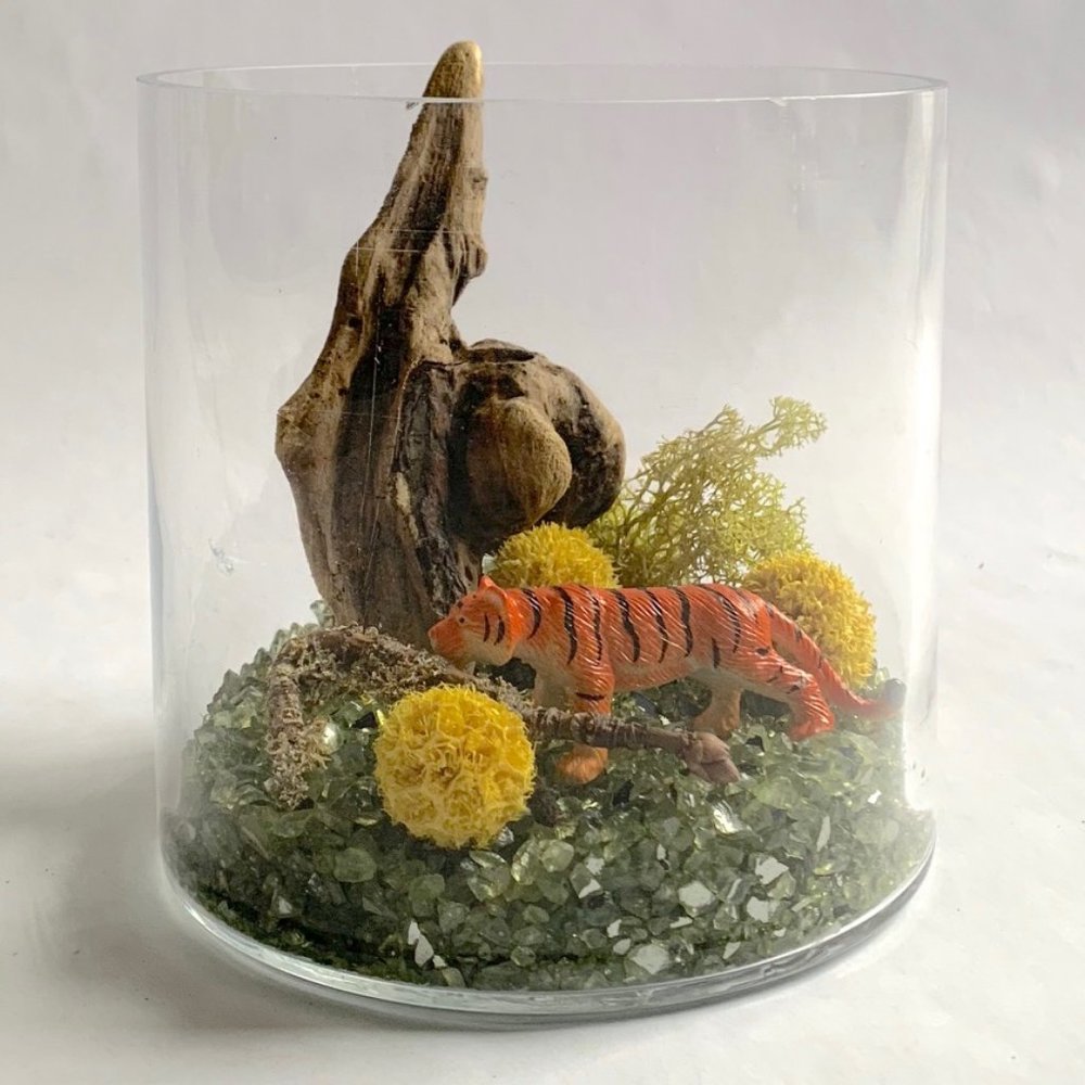 Terrarium Kit